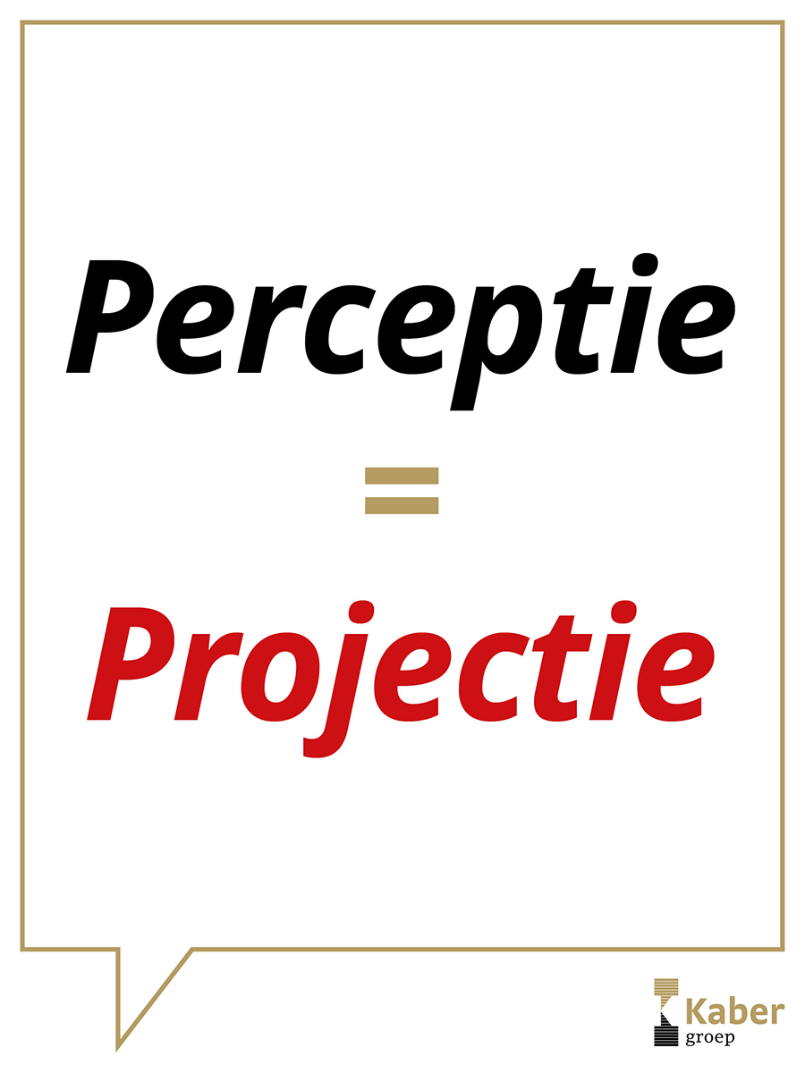Kaber NLP info afbeelding: Perceptie = projectie