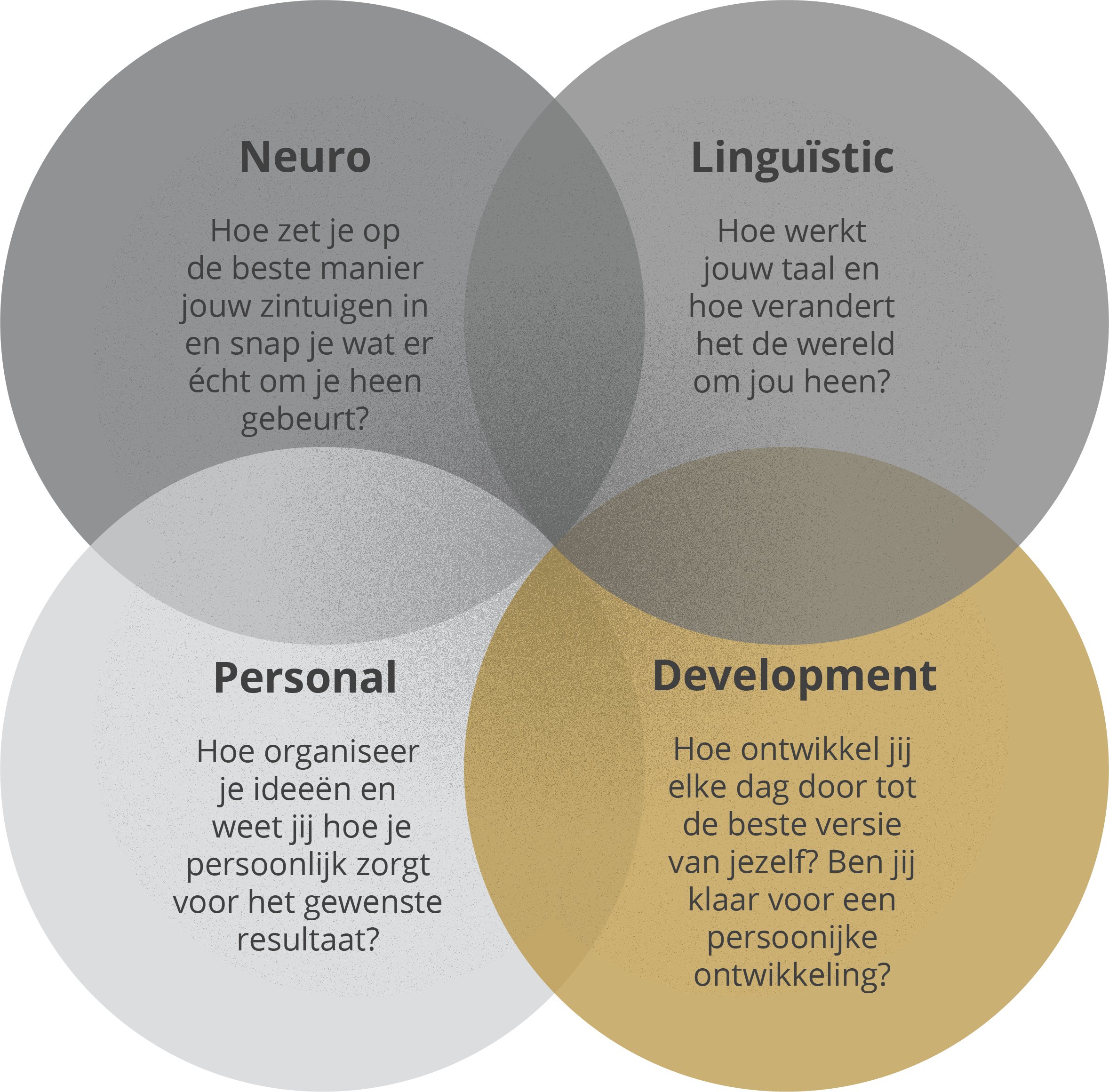 NLPD: Neuro Linguïstic Personal Development
